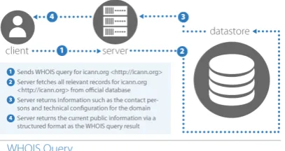 Figure 1. Overview of a WHOIS Query
