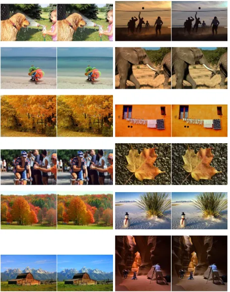 Figure 10: Results of the proposed algorithm on sample images from Kodak’s “Picture of the Day” dataset