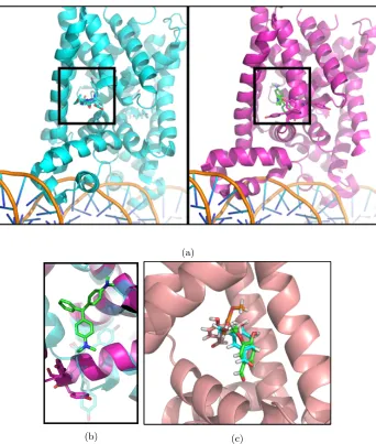 Figure 2.3: Computationally aided selection of qacR mutants. (a) PDB structures of the non-ligand bound (cyan, PDB ID: 1JTO) and ligand bound (magenta, PDB ID: 3BQZ) conformations ofqacR