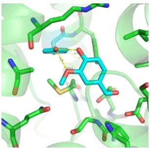 Figure 2.15: Crystal Structure of Vanillin Bound to a Protein (PDBID 2VSU). A modelof vanillin binding was constructed by building vanillin oﬀ a native tyrosine residue similar to whatwe observe here