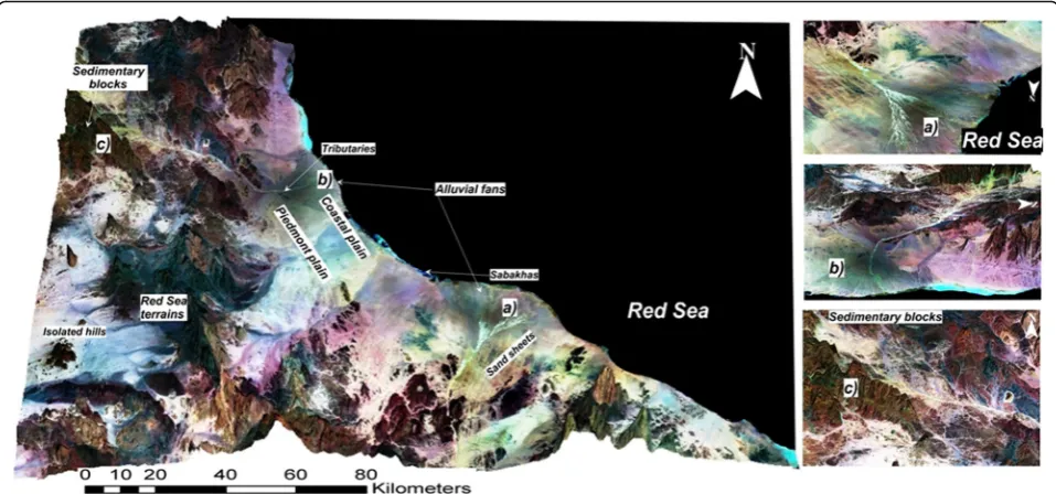 Fig. 2 Three-dimensional (3D) map showing the main landforms units of the study area (SRTM-1 overlaid by LANDSAT8)