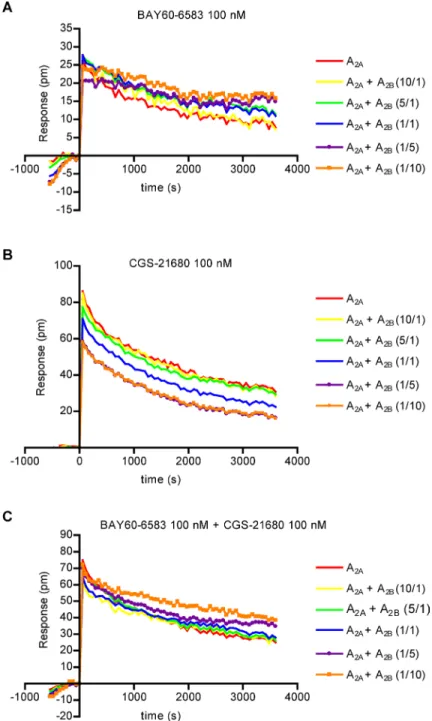 Figure 7: Label-free assays in cells coexpressing variable proportions of A 2A  and A 2B ARs