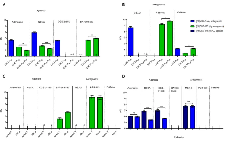 Figure 4: Affinities of AR agonists and antagonists in different cells expressing A 2A  and A 2B ARs