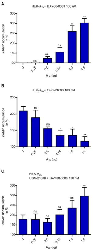 Figure 6: cAMP determination in cells coexpressing variable proportions of A 2A  and A 2B ARs