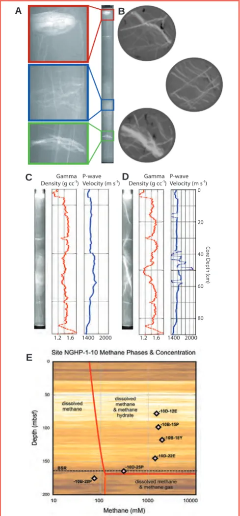 Figure 2. Data from a HYACINTH FPC core obtained on NGHP Exp. 1 using the PCATS and a medical CT scanner, and methane concentration data from the same site obtained from pressure cores