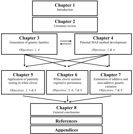 Figure 1.1 Schematic diagram of the thesis structure; depicts the relationships between thesis chapters