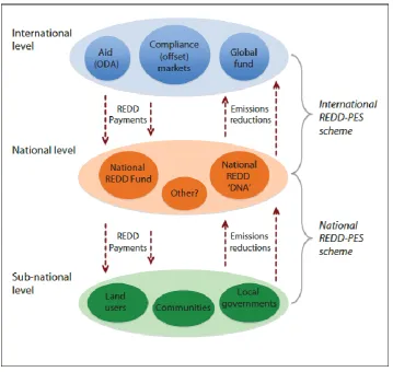 Figure 1.2 Conceptual model of multi-level REDD+ mechanism 