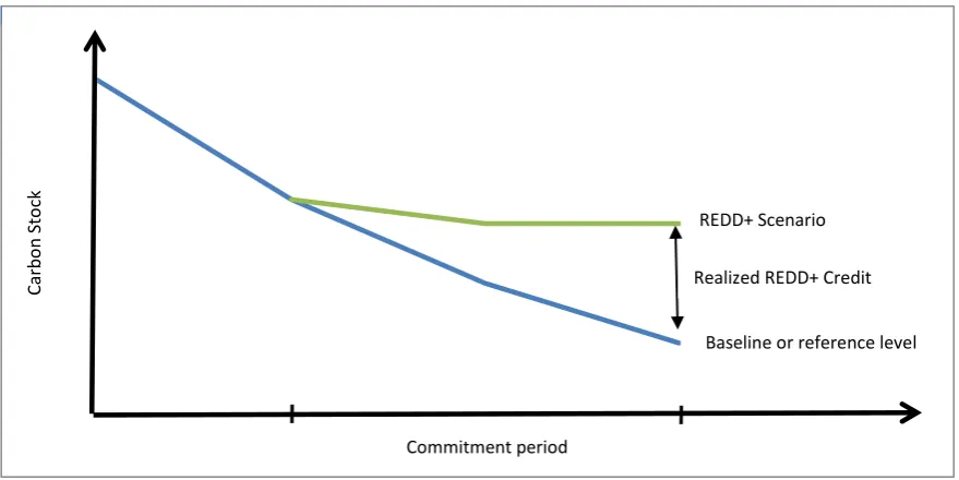 Figure 1.3 An example of comparison between reference level and REDD+ scenario 