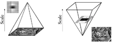 Figure 1 [1]: Approximation of Gaussian second order partial derivative. From left to right: the original second order derivative of Gaussian, y and xy direction; the approximation in y 