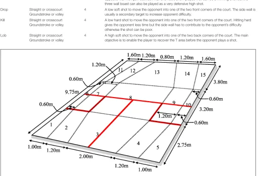 FIGURE 1 | Squash court ﬂoor divided into 15 cells.
