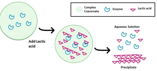 Figure 1.1. Proposed method to produce PLA from extracted LA 
