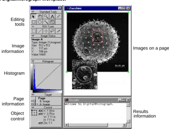 Figure 2-1 The DigitalMicrograph Workplace.