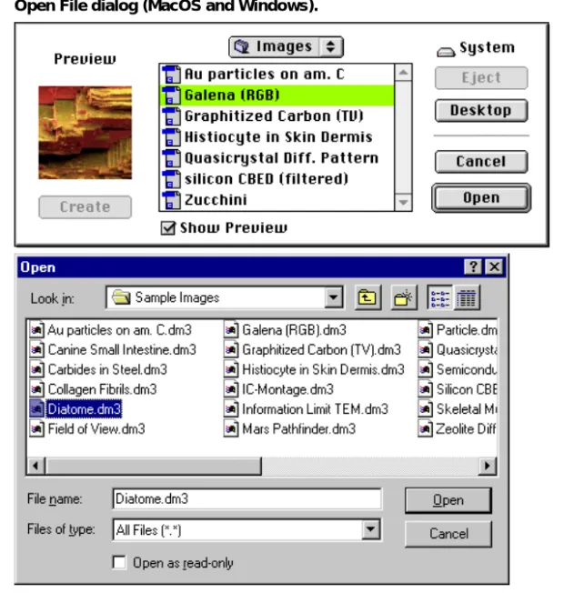 Figure 2-2 Open File dialog (MacOS and Windows).