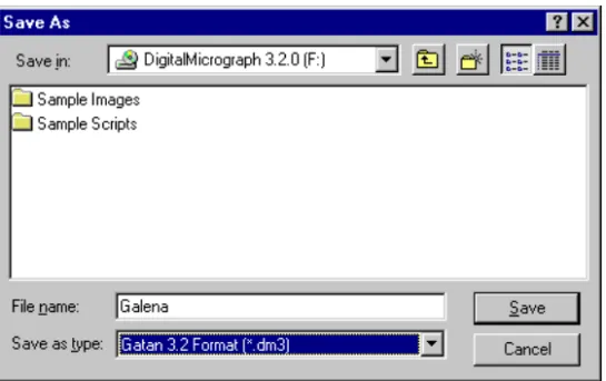 Figure 2-4 Save As dialog.