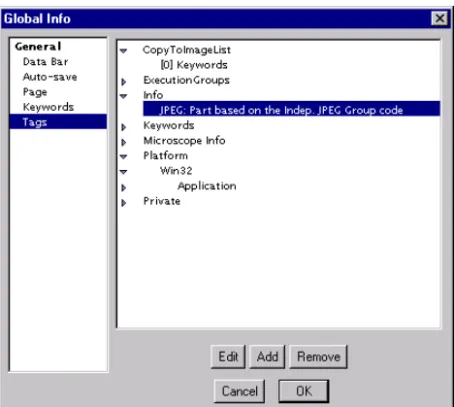 Figure 2-11 Global Info—Tags.