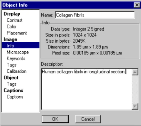 Figure 3-2 Object Info—Image–Info.