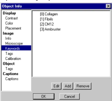 Figure 3-3 Object Info— Image–Keywords.