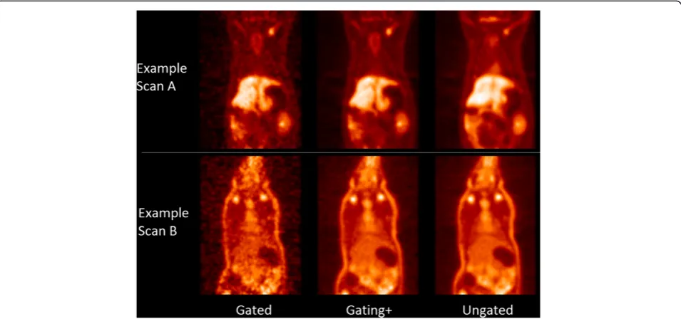 Table 3 Preclinical PET motion effect measurements