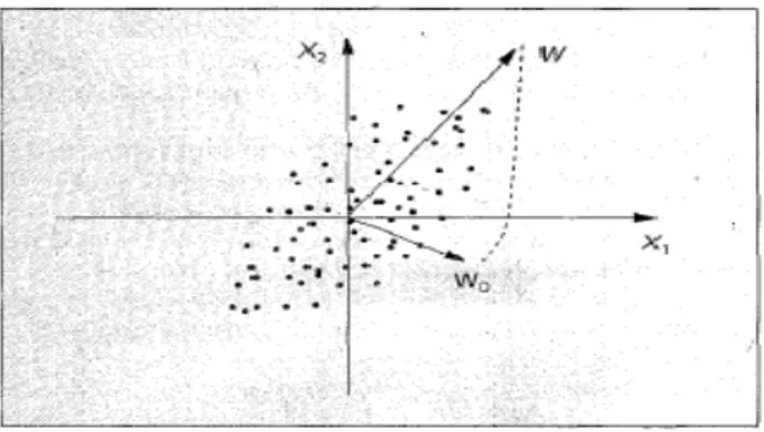 Figure 8. Orientation selectivity of a single neuron  trained using the Hebbian rule. 