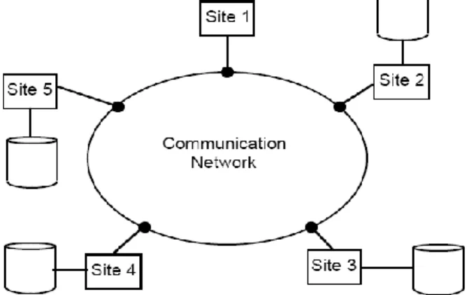 Figure 1: A Distributed Database Environment 