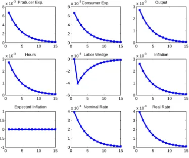 Figure 8: Impulse responses to a positive expectational shock for rule 1 with φy = 0