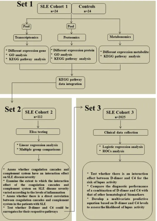 Figure 1: Scheme depicting the strategy used in this study.  Part 1 (multi-omics analysis): Transcriptomics, proteomics and  metabolomics  were  performed  simultaneouslyin  SLE  cohort  I  (n = 24) and healthy controls (n = 24) to systematically character