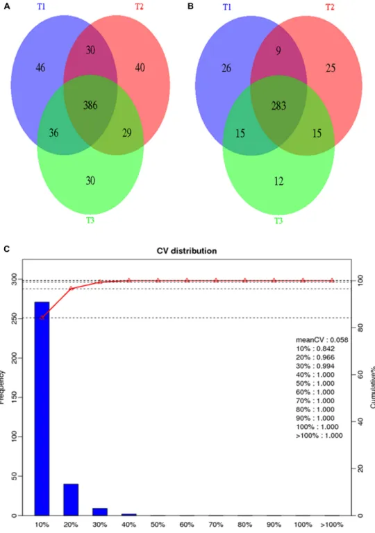 Figure 2: General information of the proteomics analysis.  (A) A Venn diagram representing the overlap of identified proteins  among the three technical replicates; (B) A Venn diagram representing the overlap of quantified proteins among the three technica