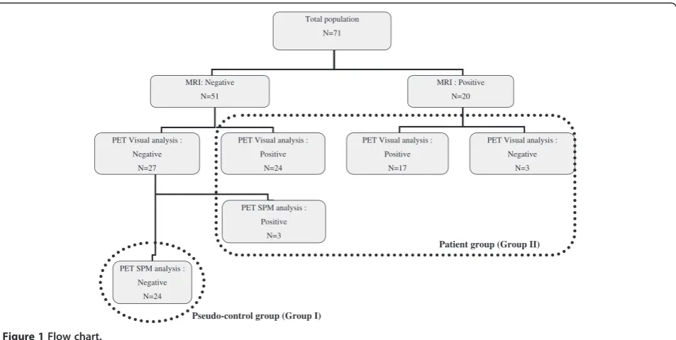 Figure 1 Flow chart.