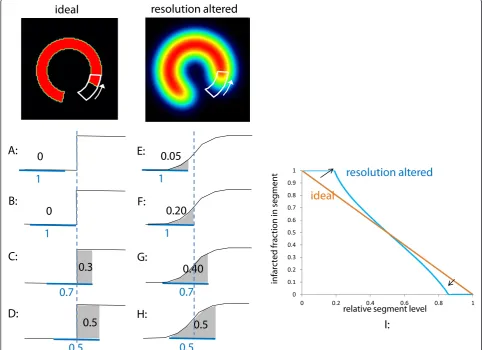 Figure 2 Infarcted fraction in a segment as a function of its relative level. A to H, evolution of the infarcted fraction in a segment (numberin blue) as a function of its relative level (number in black) when the segment circumferentially travels through 