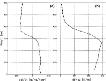 Figure 10. Vertical distributions of (a) time change of liquid cloud and (b) static stability for the CTR after 24 h of simulation.