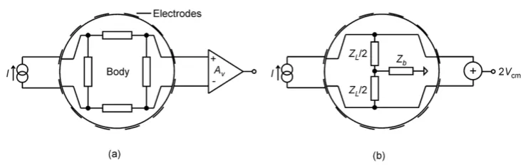 Figure 1. Basic elements of EIT. (a) Simple equivalent circuit where I is the current drive and Av is the sense amplifier