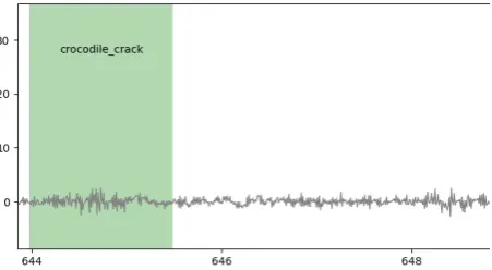 Figure 5. Vibration pattern of a crocodile crack.