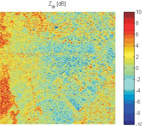 Fig. 5. Simulation results of Zdr of test site area in dB.