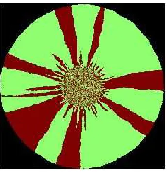 Figure 3.2: Monte Carlo sample of a lattice based Eden model type C, with cells of