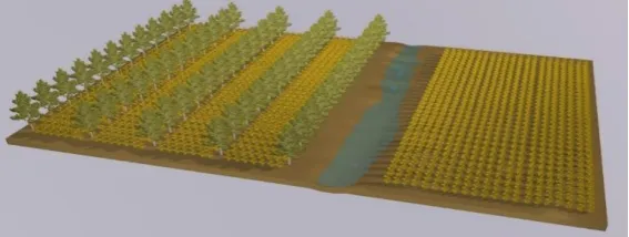Figure 2: An agroforestry system on the left and a monocropping system on the right (Yuwono et al., 2018)