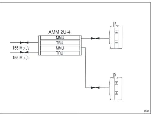 Figure 2-7.  Two 1+0 terminals, 2 ×(1+0), in an AMM 2U-4 