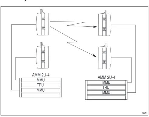 Figure 2-9.  1+1 configuration, hot standby 
