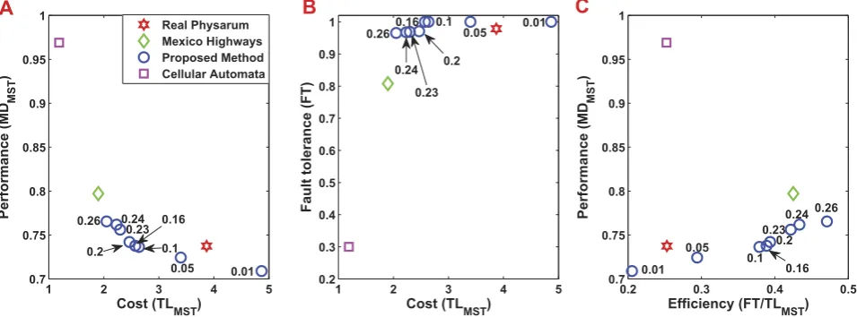 Figure 4. The transportation networks developed by the Physarum-inspired cellular automata models