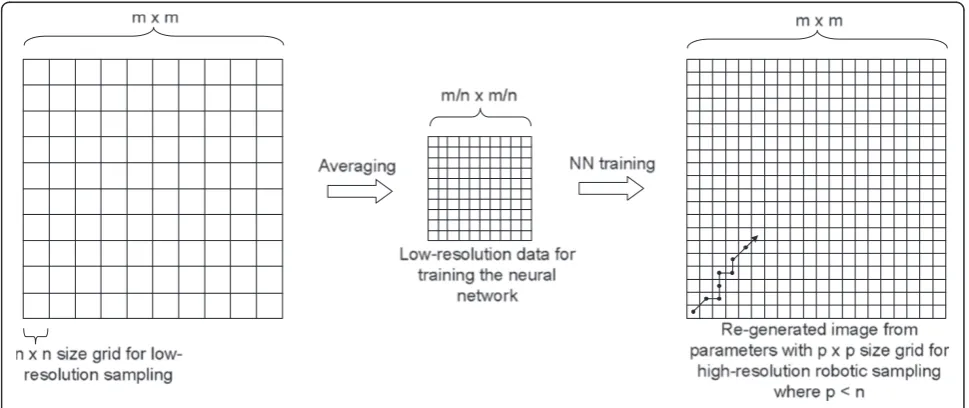 Figure 1 Change in spatial resolutions for multi-scale sampling.