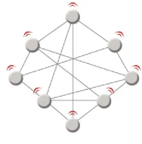 Figure 1: Mesh Network