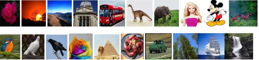Fig. 4. 20 Sample Images from database of 2000 BMP images having 20 classes 