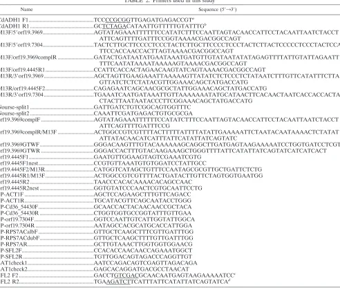 TABLE 2. Primers used in this study