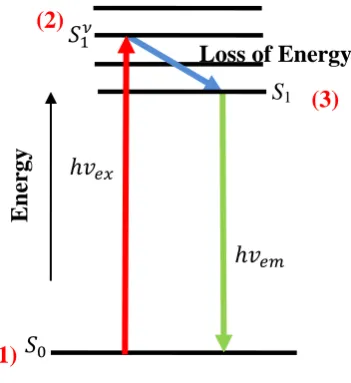 Figure 1.4: A Jablonski diagram showing the origin of fluorescence, with the 