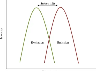 Figure 1.5: Definition of Stokes shift 