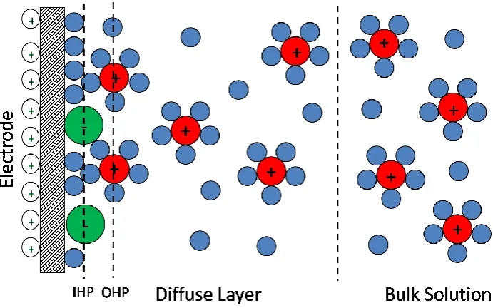 Figure 1.8: A diagrammatic representation of the electrical double layer where the red 