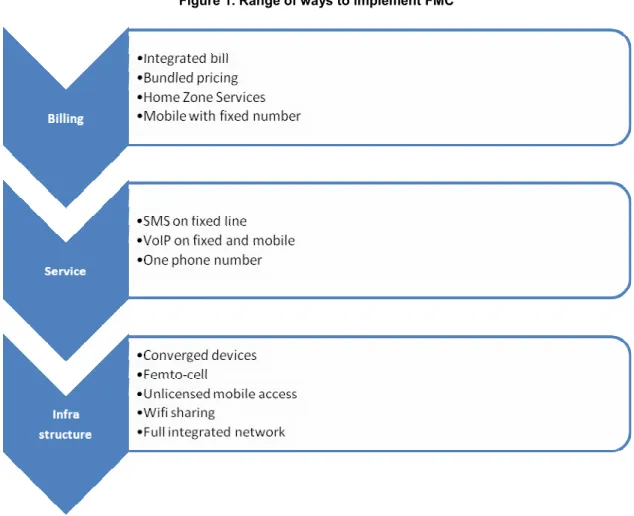 Figure 1. Range of ways to implement FMC 