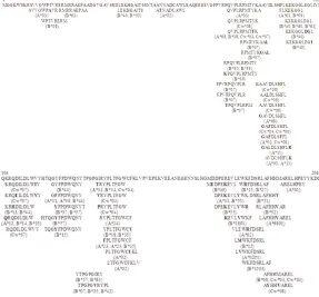 Figure 1. Location of polyallelic peptides in relation to overlapping peptide set for the Nef regionof HIV-1Overlapping peptides derived from a standard consensus clade B sequence, were 15-mer inlength and overlapped by 11 amino acid residues