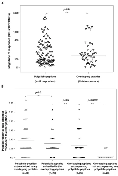 Figure 2. Magnitude of responses (A) and response rates (B) to the set of overlapping peptidescovering all of Nef and the set of polyallelic peptides identified as HLA-restricted epitopes withinNefThere were no significant differences in the magnitude of r