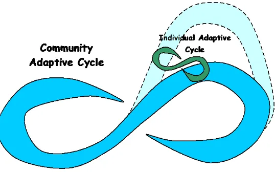 FIGURE 2 Adaptive cycles of the individual and community 