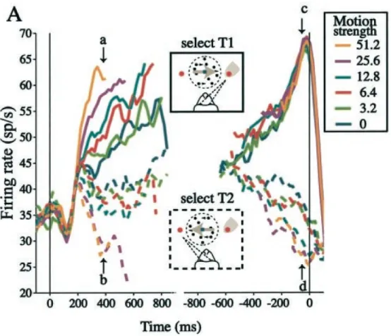 Figure 1: Average recorded firing rates from cells in the parietal cortex of monkeys while they make a perceptual decision in different evidential conditions